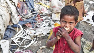 Uncovering the Political Factors of Hunger Poverty