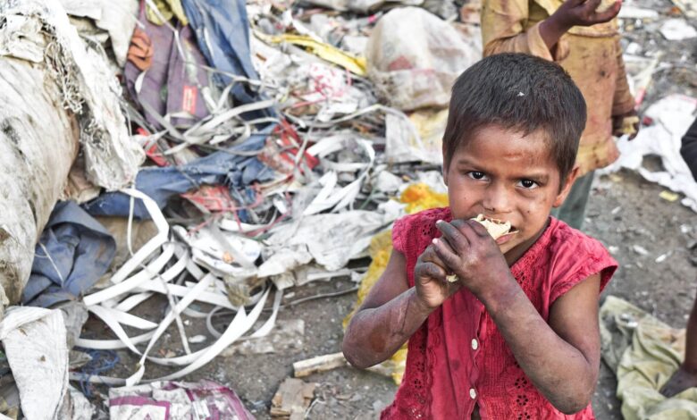 Uncovering the Political Factors of Hunger Poverty