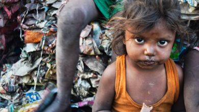Poor Hunger Food: Addressing Food Insecurity and Malnutrition